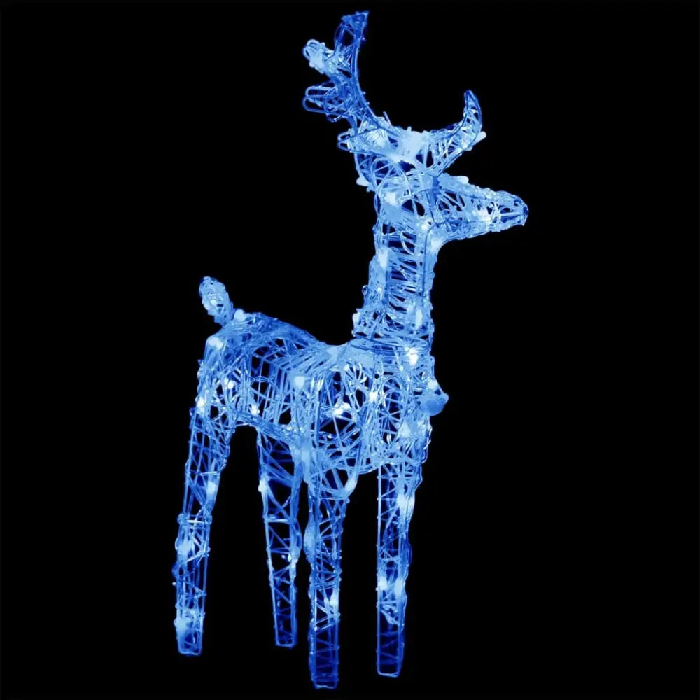 Distinguished illuminated reindeer and sleigh set - Luxury Christmas Collection