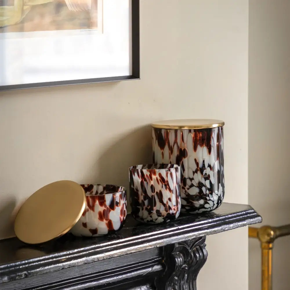 Elegant Peony & Musk Tortoiseshell Candle - Candle