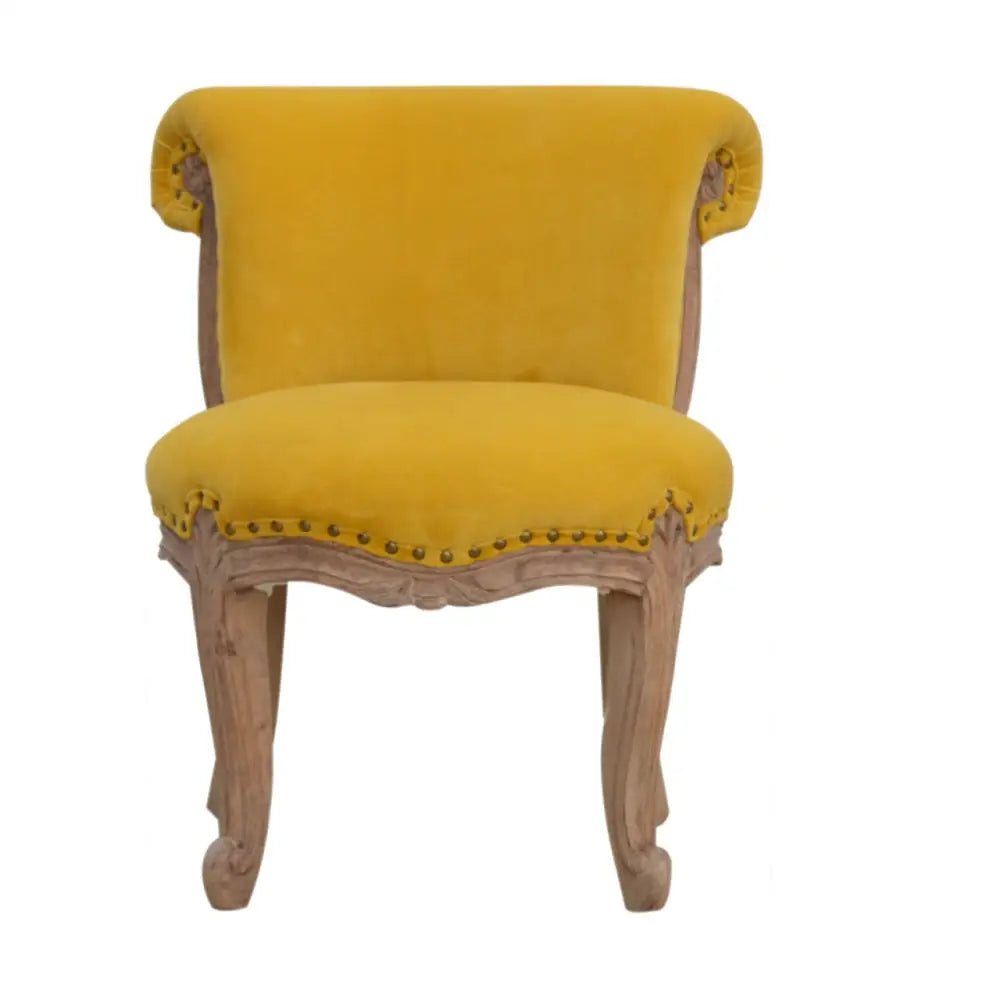 French Style Chair. Yellow velvet chair with wooden frame. Available in various sumptuous colours