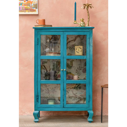 Hand Painted Bookshelf/Cabinet. Turquoise  glass-fronted cabinet 