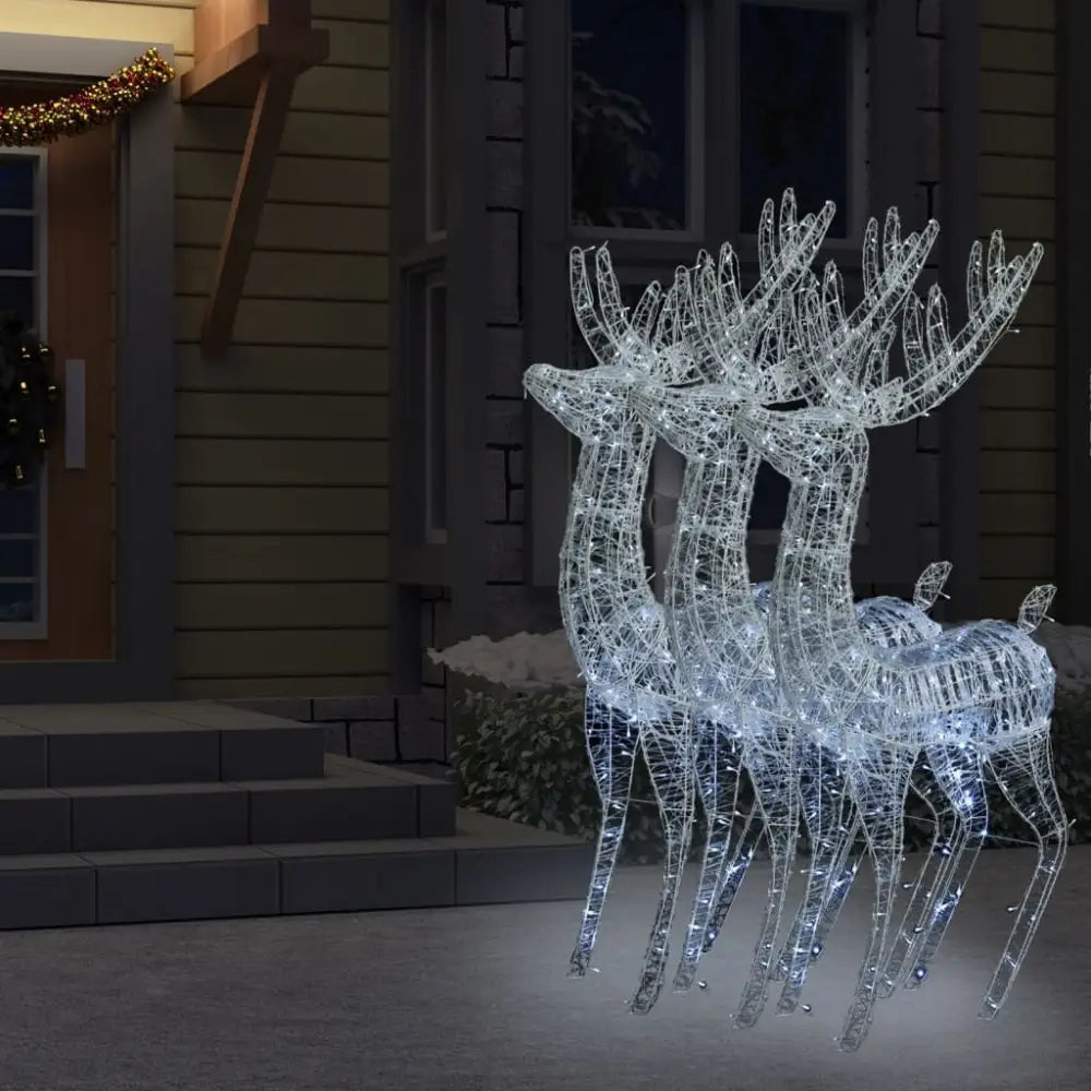 Illuminated Acrylic Reindeer - Luxury Christmas Collection