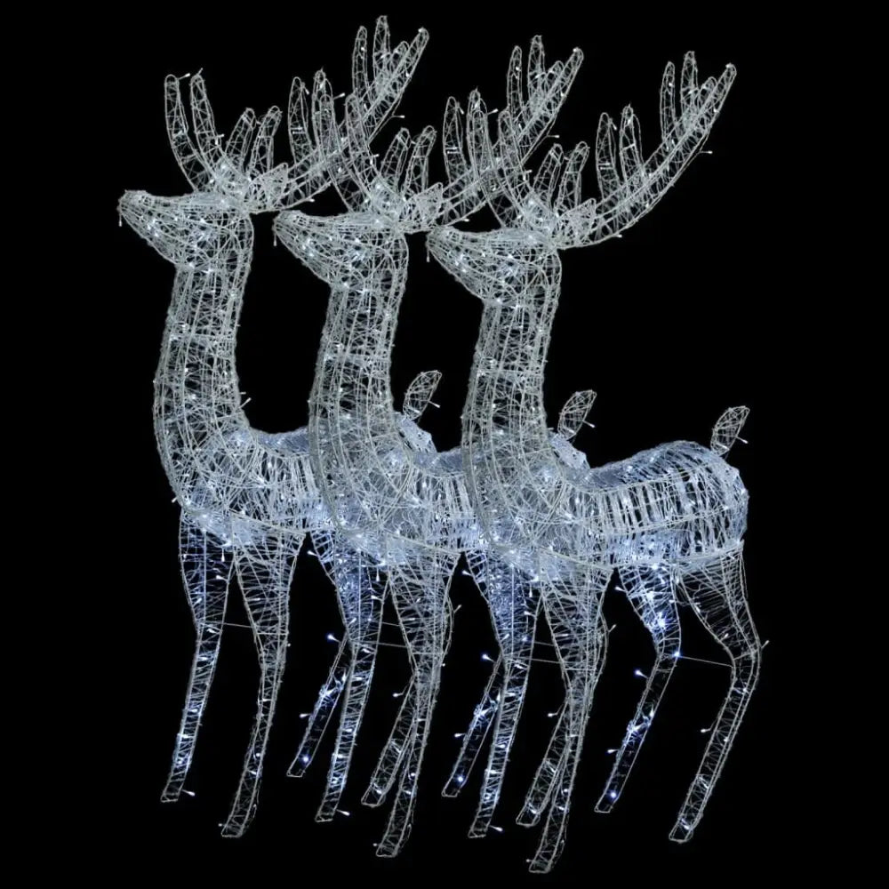 Illuminated Acrylic Reindeer - Luxury Christmas Collection